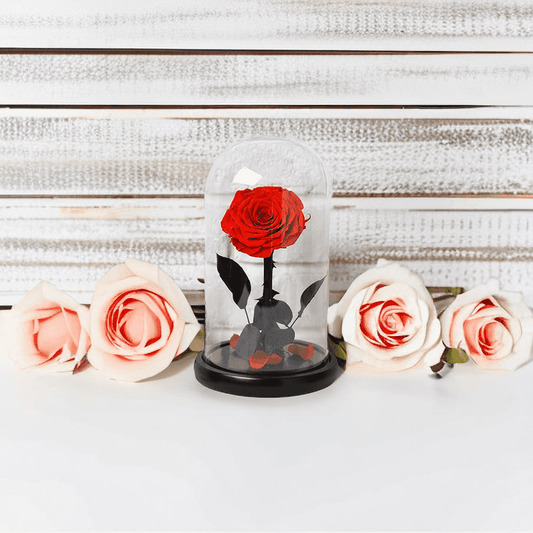 Eternal Dried Everlasting Rose Dome Glow - Miss One