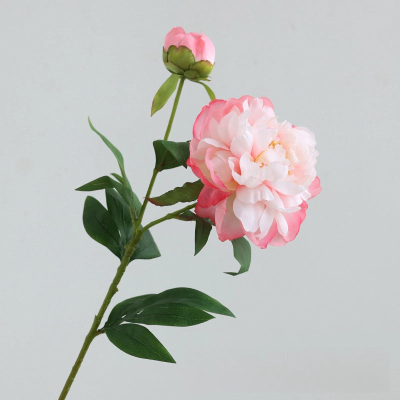 Artificial Elegant 2 Head Peony Stem - Miss One