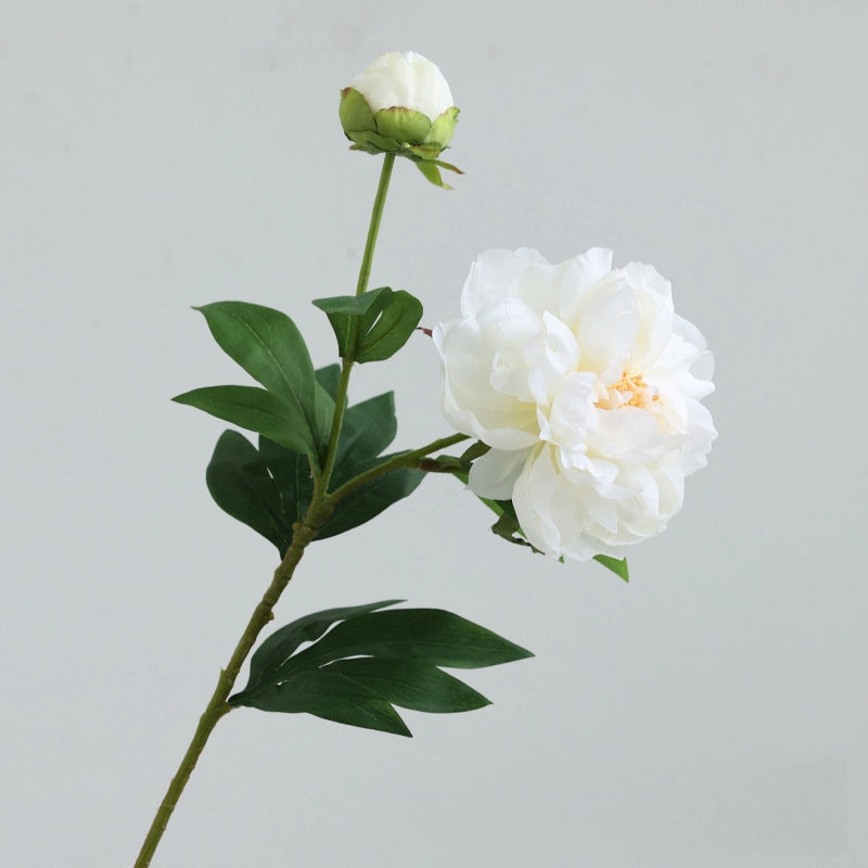 Artificial Elegant 2 Head Peony Stem - Miss One