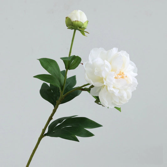 Artificial Elegant 2 Head Peony Stem - Miss One