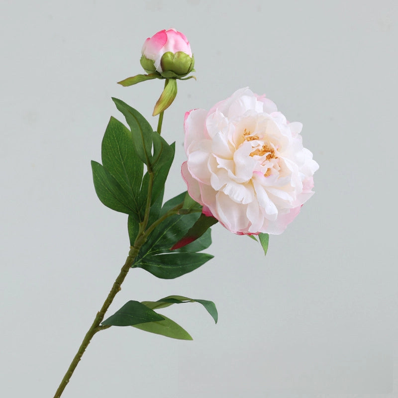 Artificial Elegant 2 Head Peony Stem - Miss One