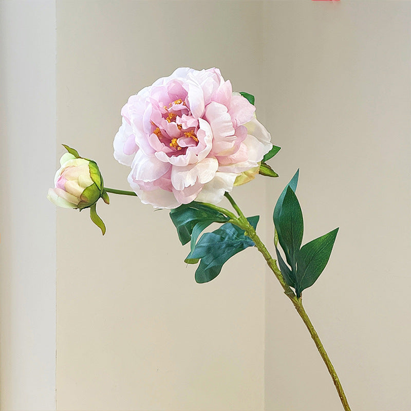 Artificial Elegant 2 Head Peony Stem - Miss One