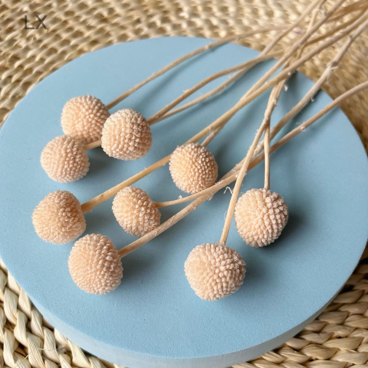 Everlasting Dried Craspedia Sun Ball Bouquet - Miss One