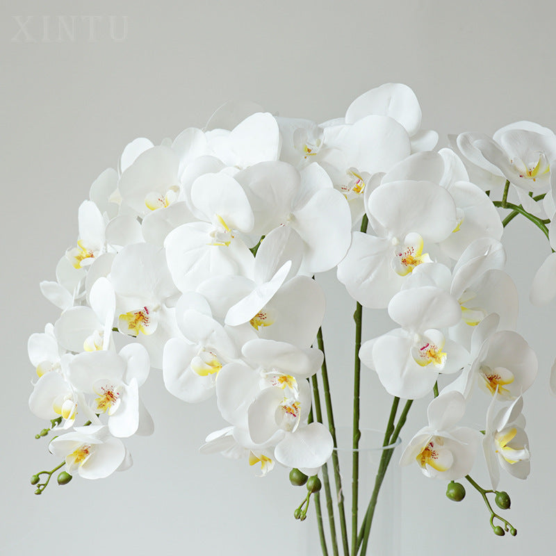Elegant Artificial 9-Head Orchid Stem - Miss One