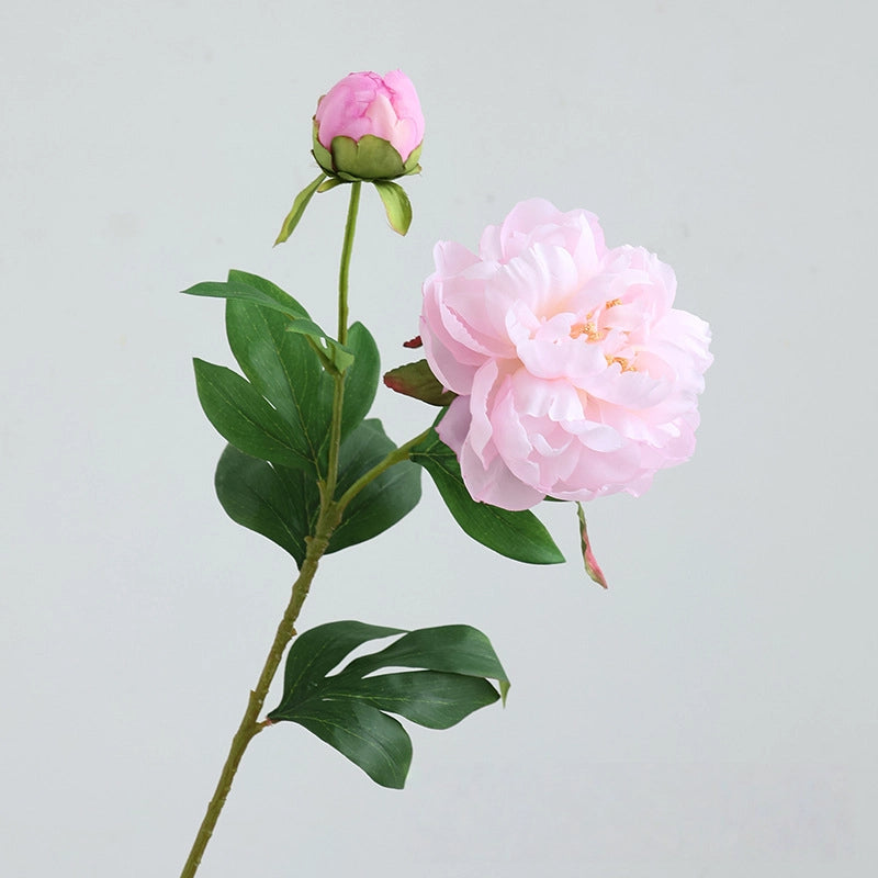 Artificial Elegant 2 Head Peony Stem - Miss One