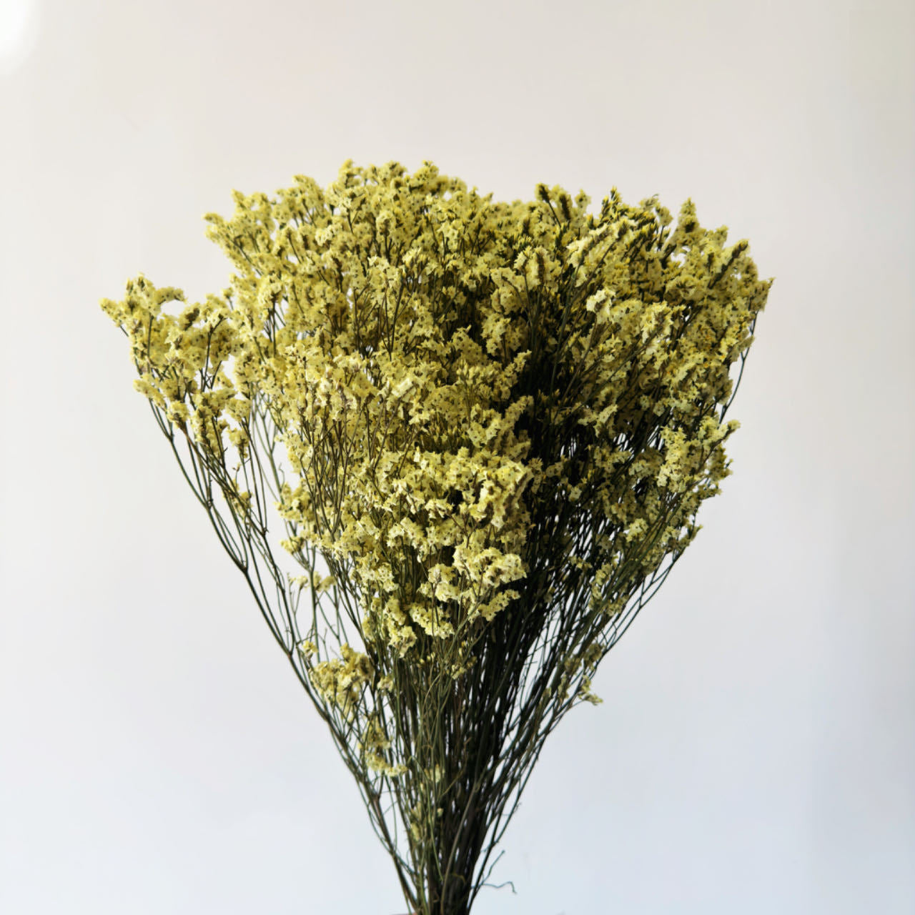 Everlasting Dried Crystal Grass Bouquet - Miss One