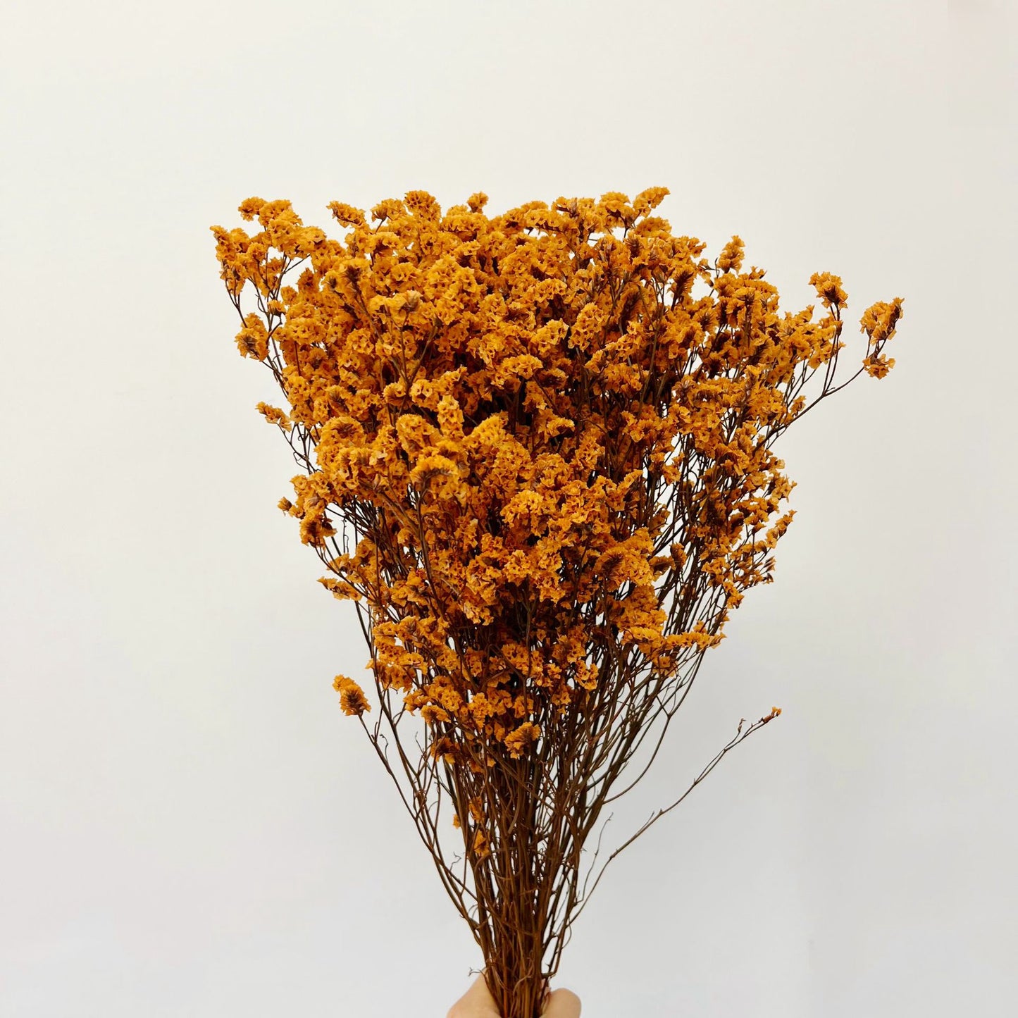 Everlasting Dried Crystal Grass Bouquet - Miss One