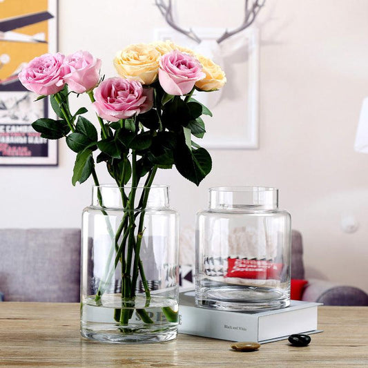 Eden Clear Glass Vase Medium - Miss One