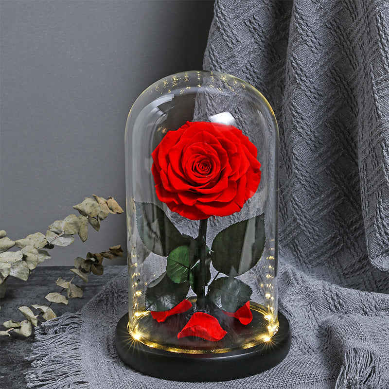 Eternal Artificial Everlasting Rose Dome Glow - Miss One