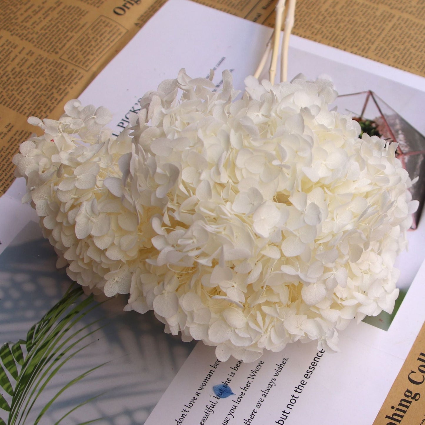 Everlasting Dried Anna Hydrangea Bouquet