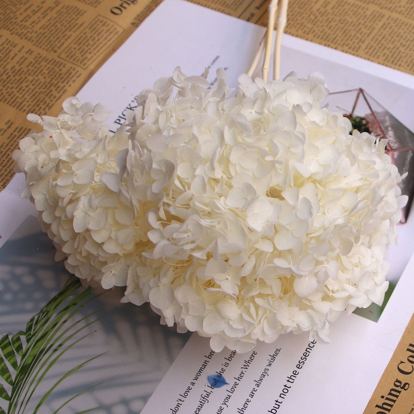 Everlasting Dried Anna Hydrangea Bouquet - Miss One