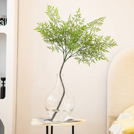 Bobbie Elegant Glass Vase Clear Medium - Miss One