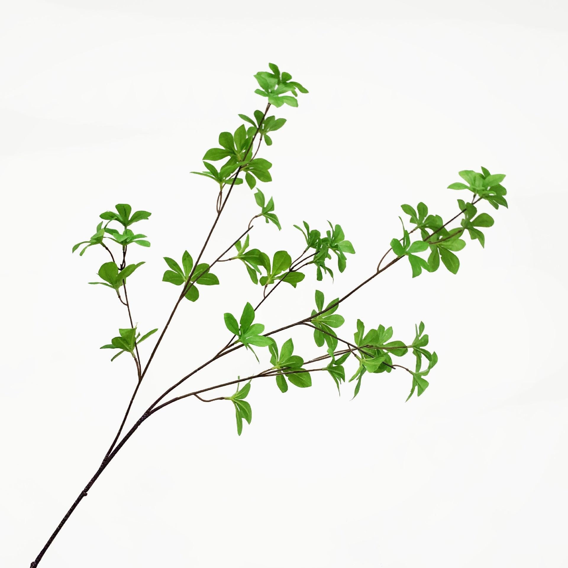 Artificial Enkianthus Perulatus Leaf Stem - Miss One