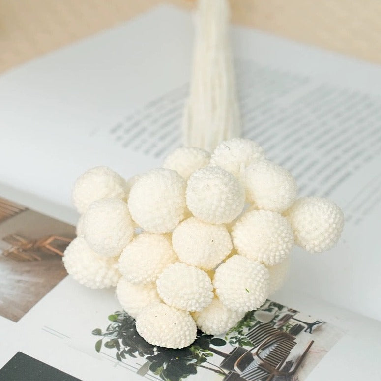 Everlasting Dried Craspedia Sun Ball Bouquet - Miss One