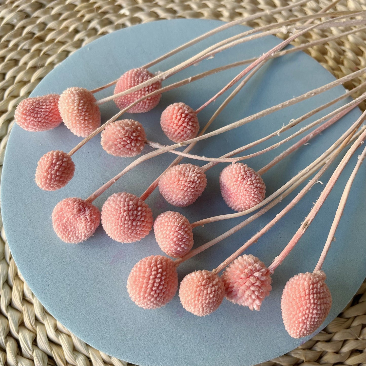 Everlasting Dried Craspedia Sun Ball Bouquet - Miss One