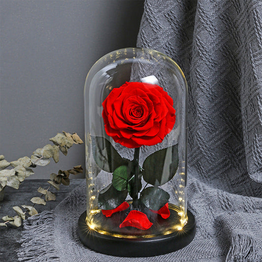 Eternal Dried Everlasting Rose Dome Glow - Miss One
